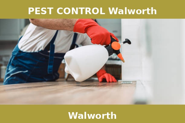 PEST CONTROL Walworth